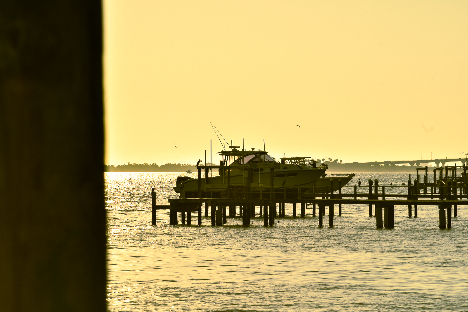 Bay Vista Park, St. Petersburg, Florida