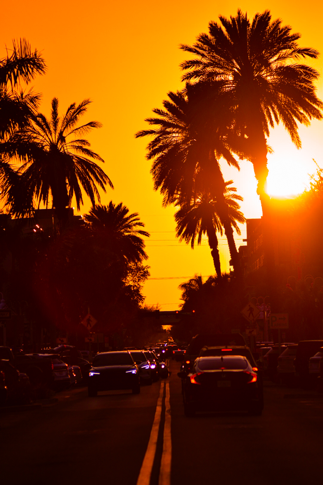 Central Avenue, St. Petersburg, Florida