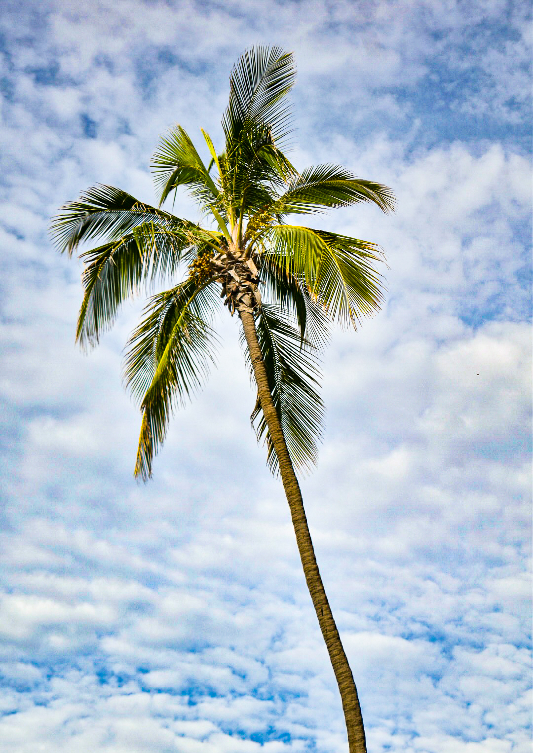 St. Augustine, FL