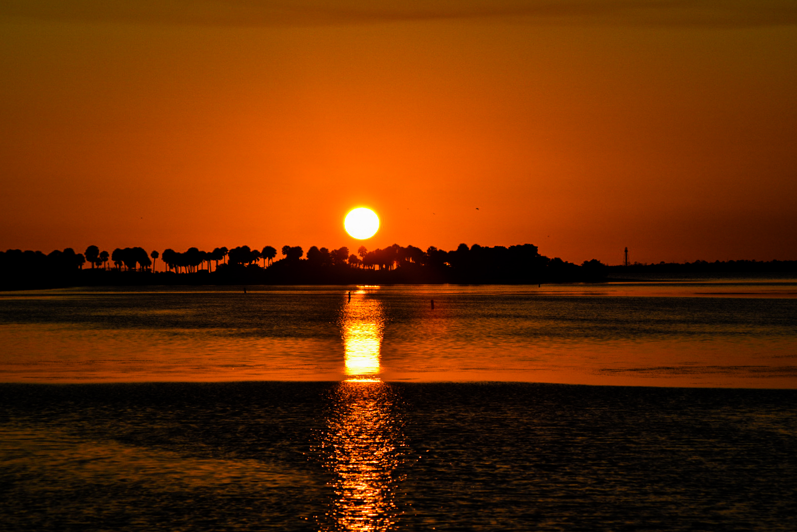 Fred Howard Park, Tarpon Springs, Florida