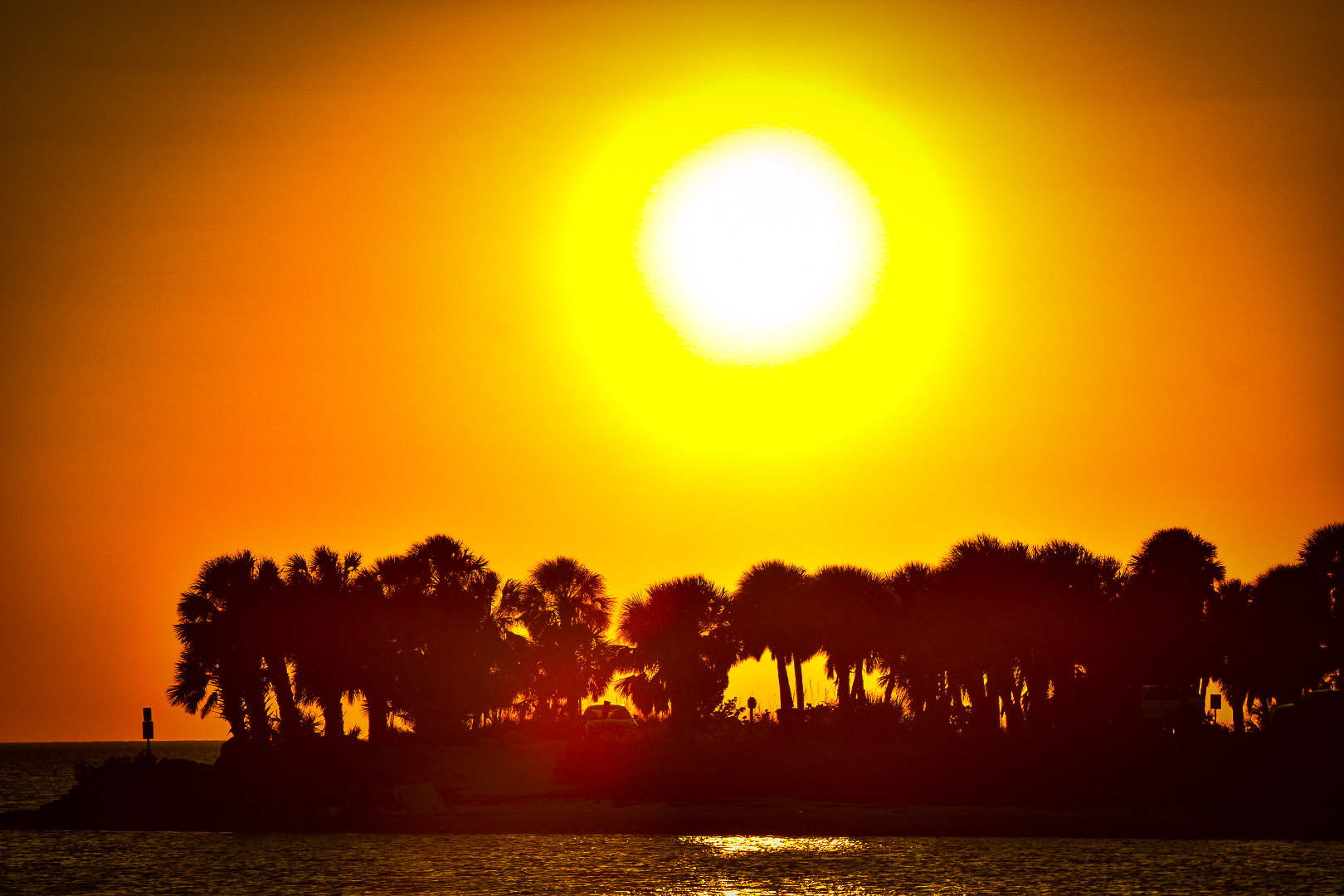 Tarpon Springs / St. Pete full presence